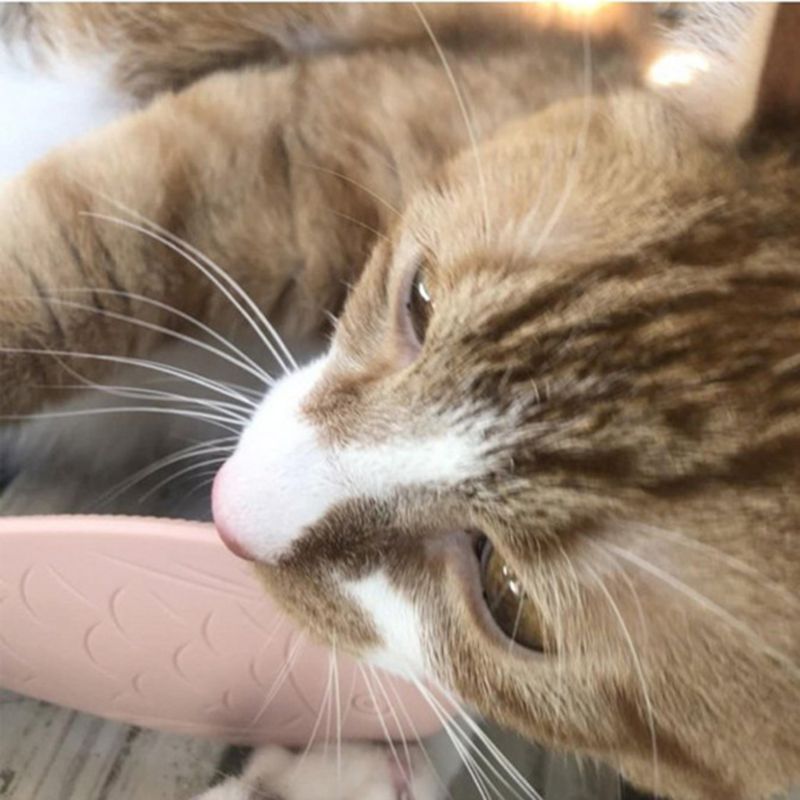 brosse douce chat
