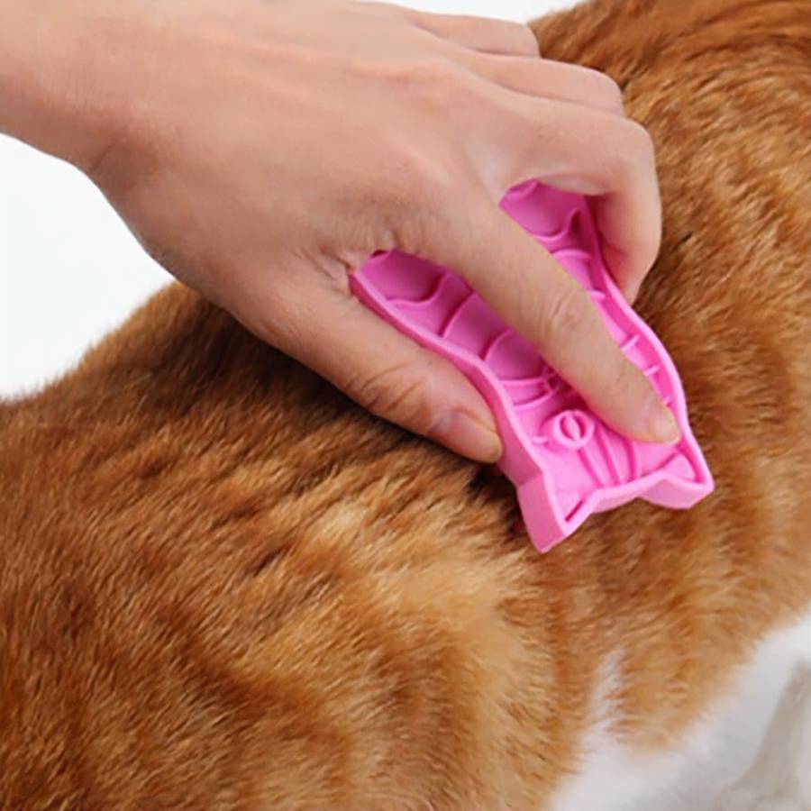 design brosse chat