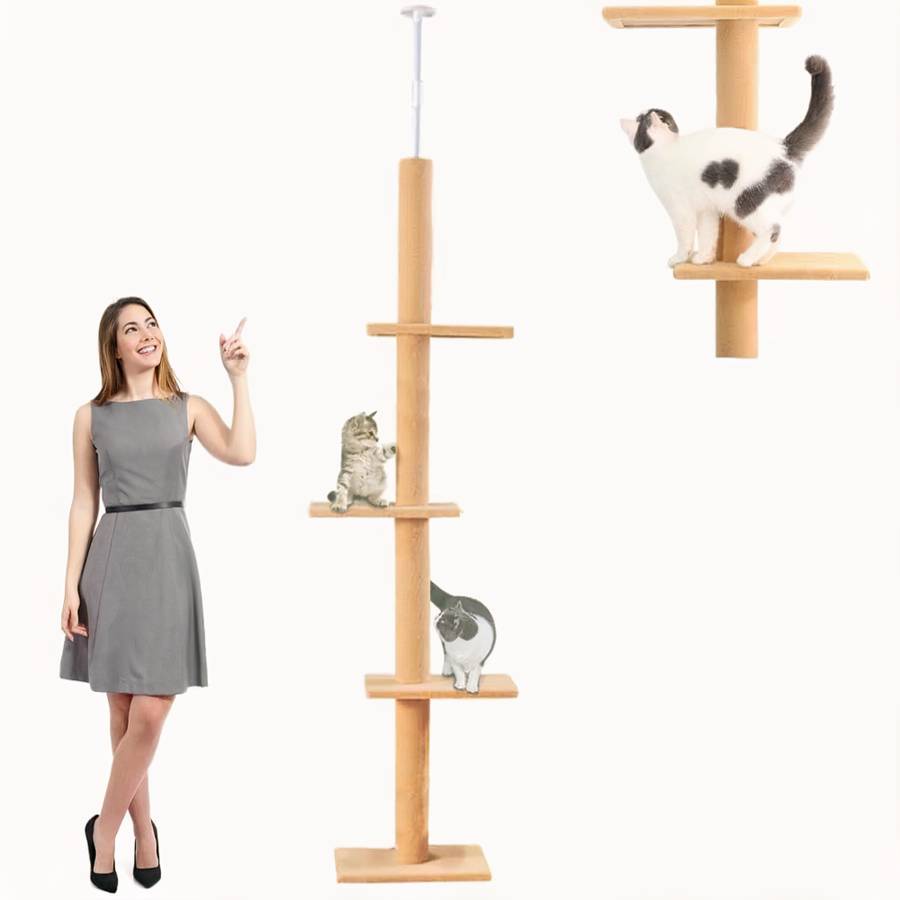 cadre modulable chat intérieur