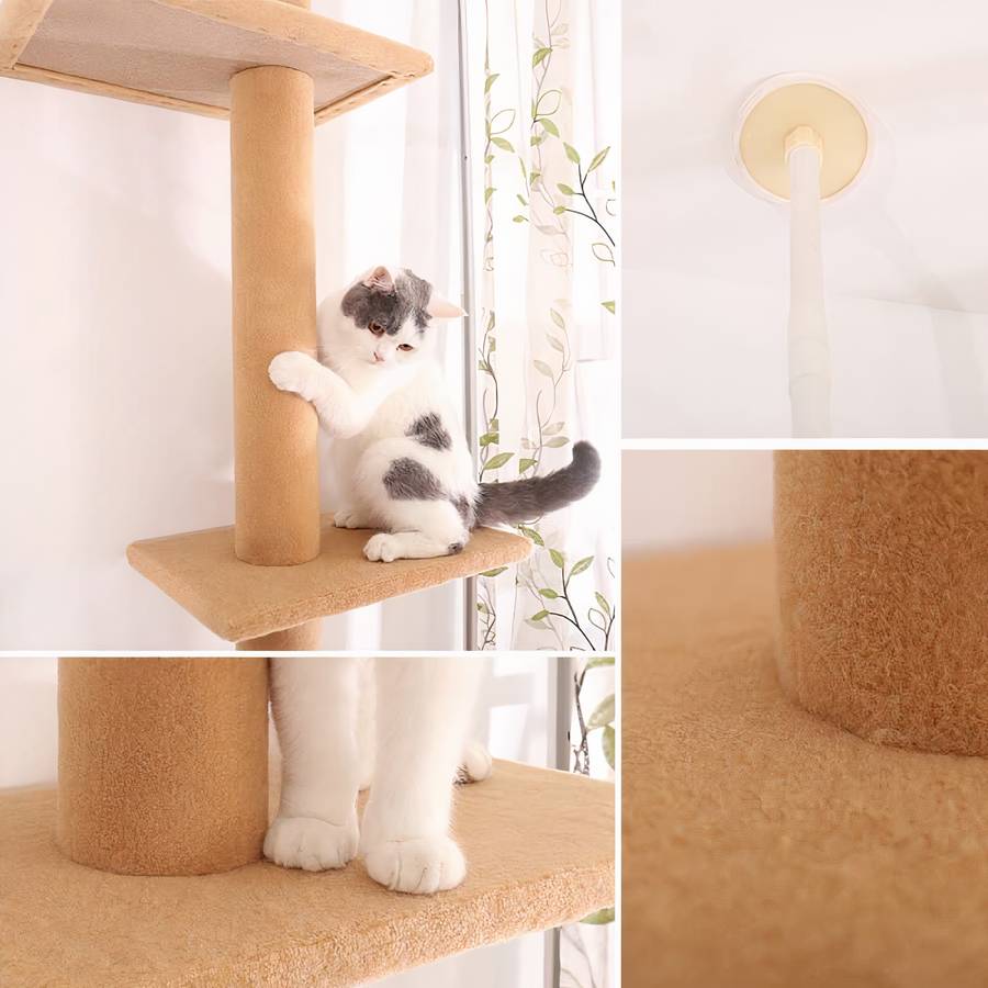 espace jeu chat ajustable