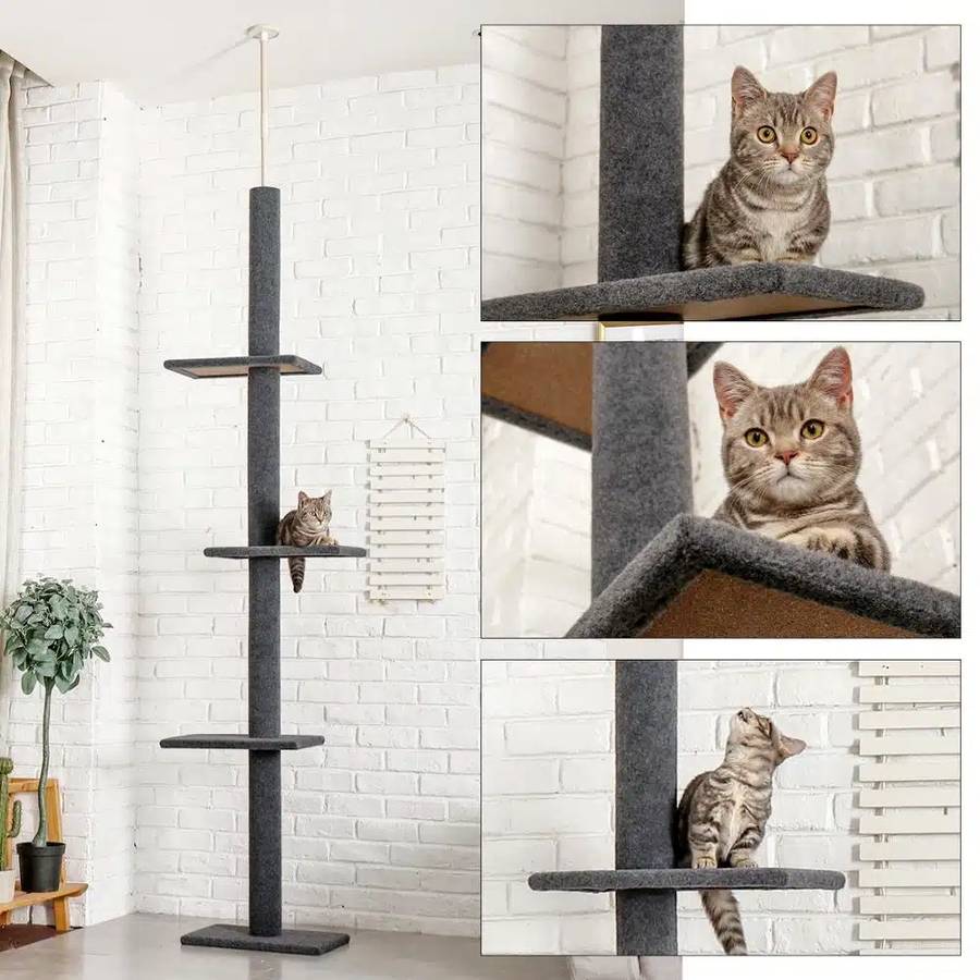 design innovant cadre chat