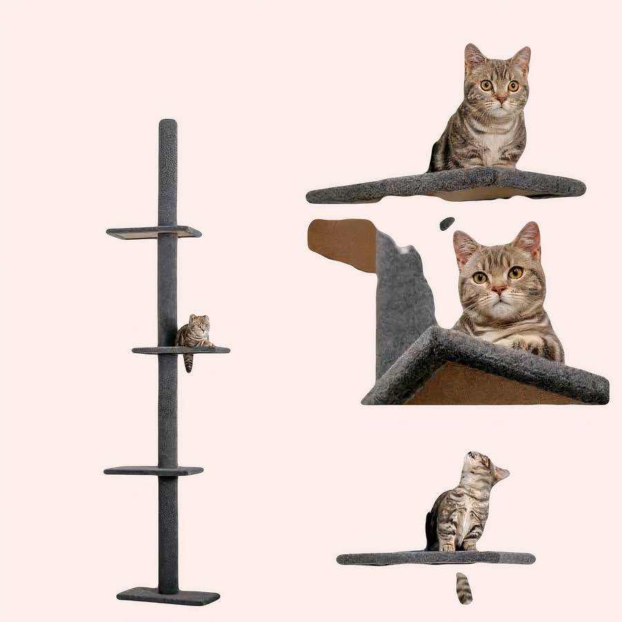 cadre d’escalade réglable pour chat