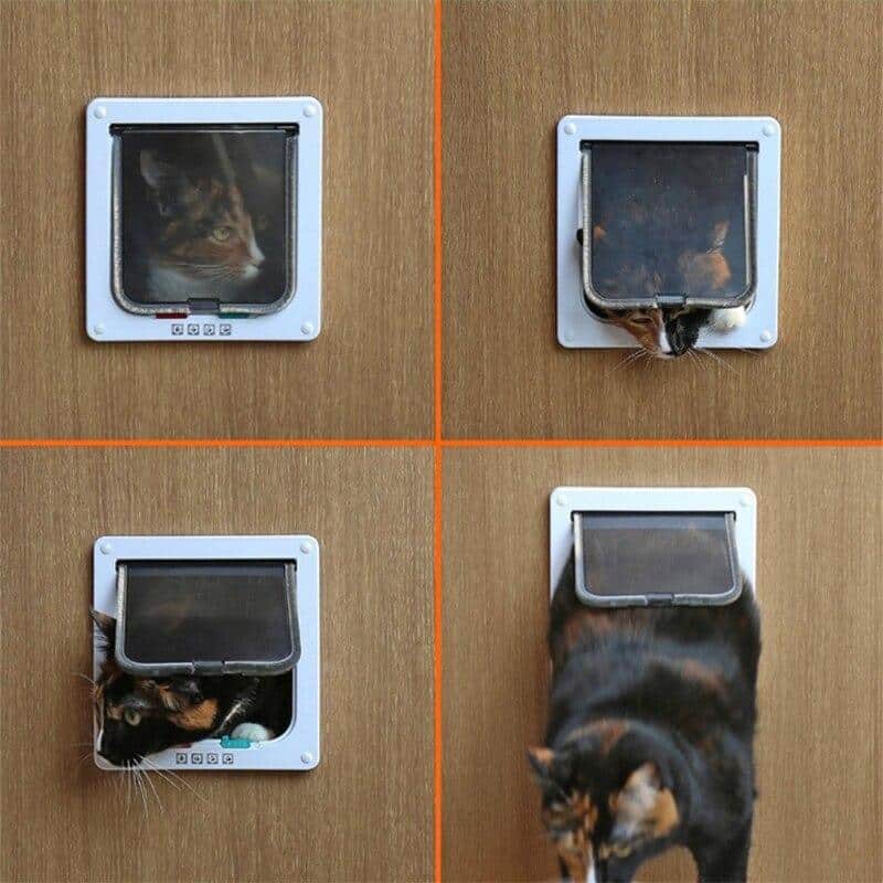 entrée pour chat carré