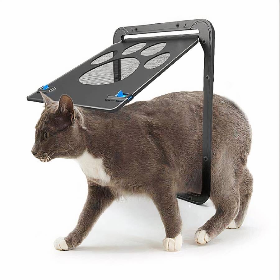 porte pour chat motif