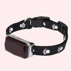 collier gps pour chat