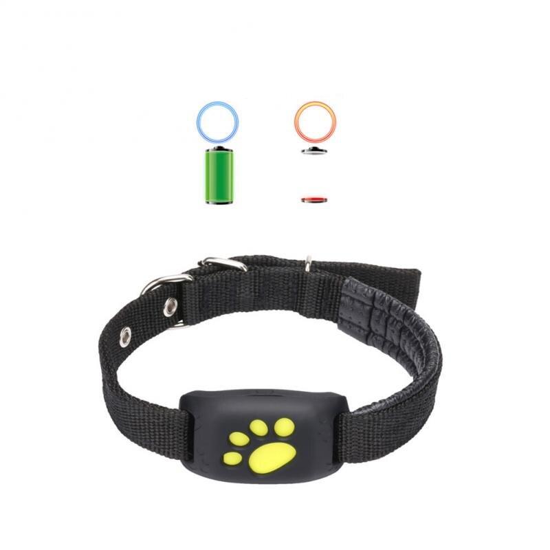 collier avec micro pour chat