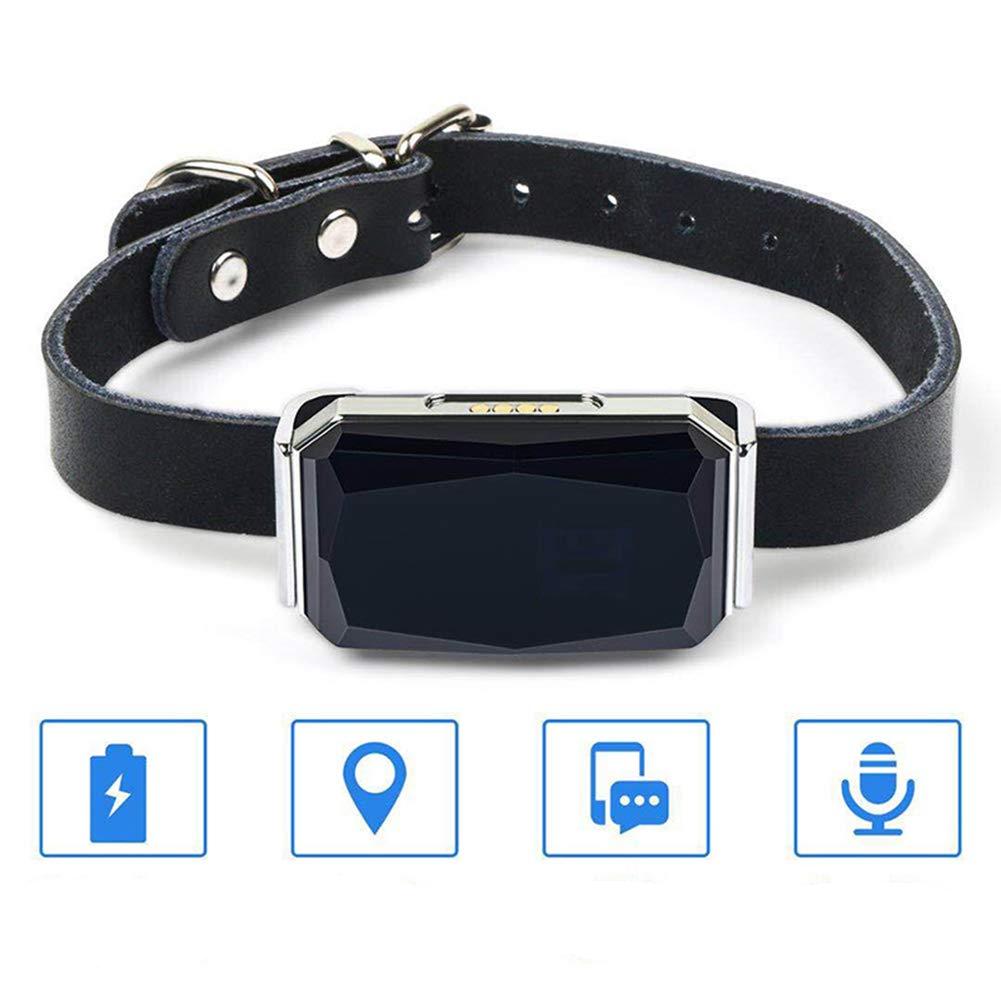 traqueur GPS pour chat