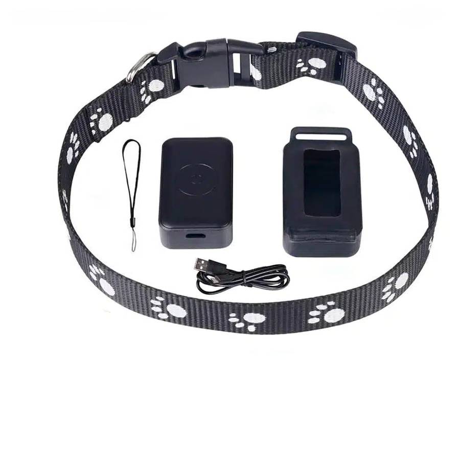 collier de suivi félin