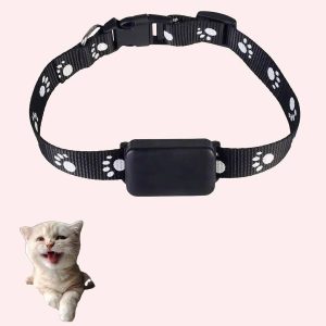 collier GPS chat
