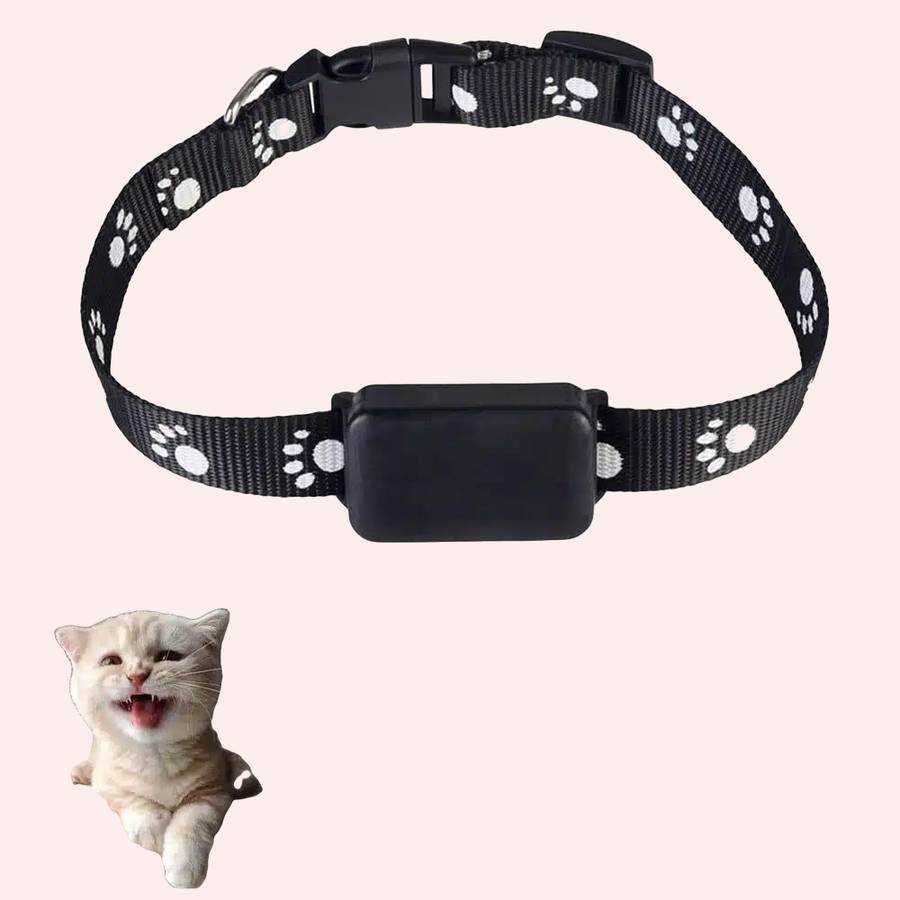 collier GPS chat