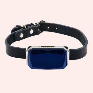 collier GPS chat