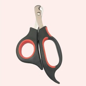 coupe griffe chat lime pédicure