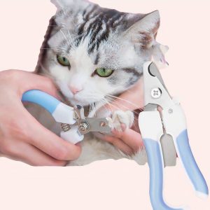 coupe griffe chat avec serrure