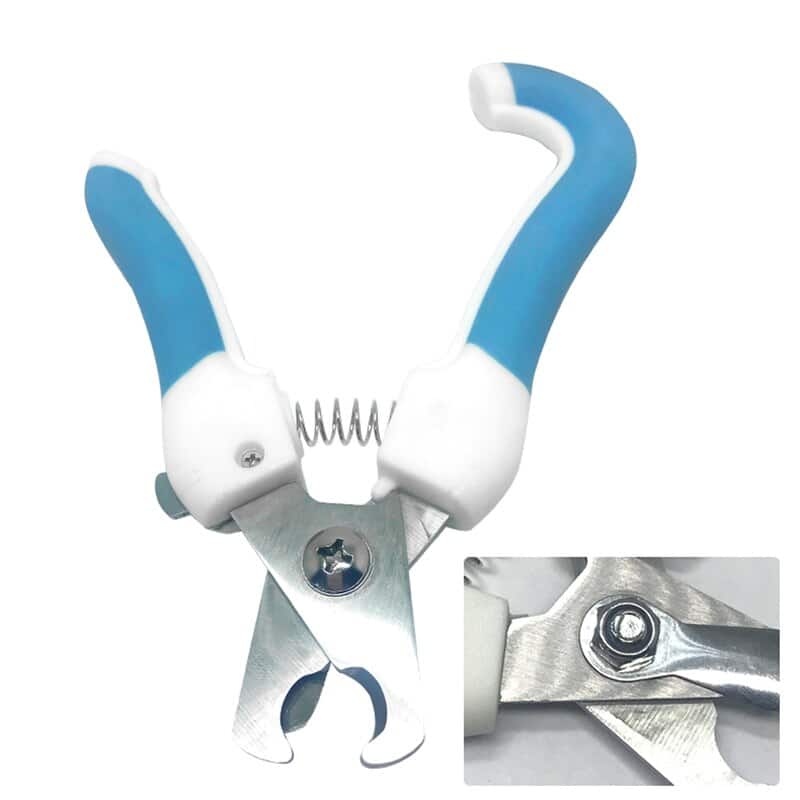 accessoire pour entretien des griffes de chat