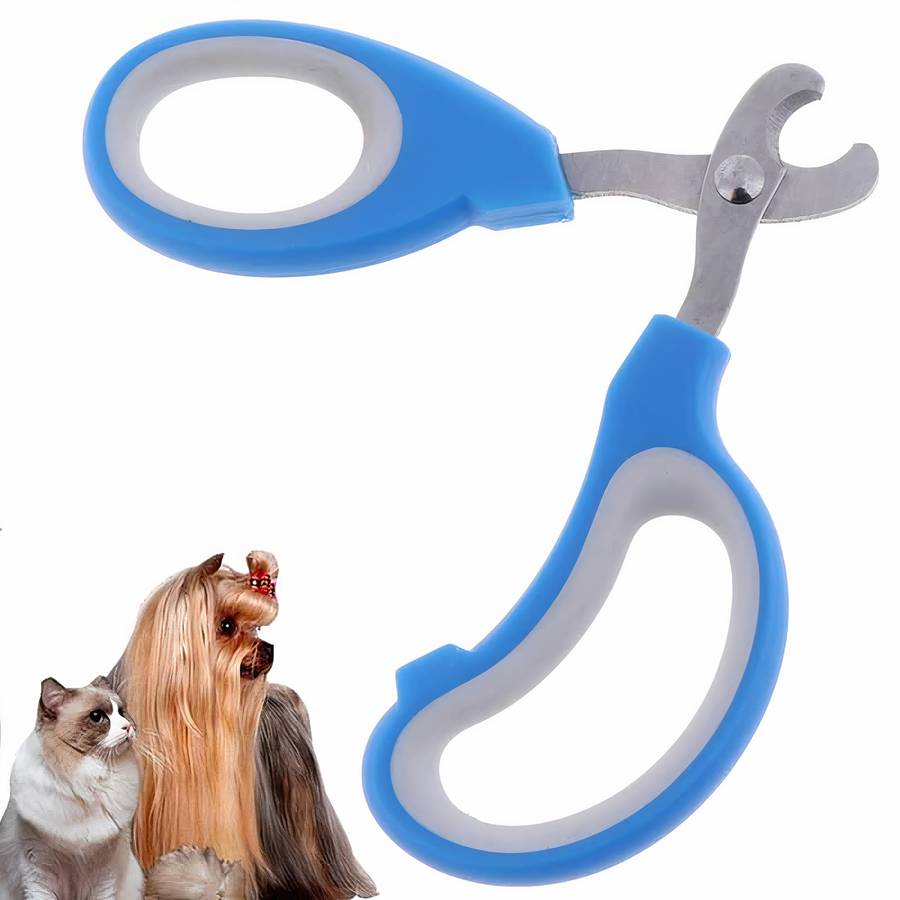 accessoire pour soigner les griffes de chat