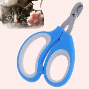 coupe griffe en acier inoxydable pour chat