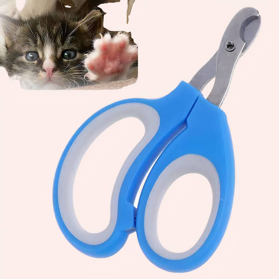 coupe griffe en acier inoxydable pour chat