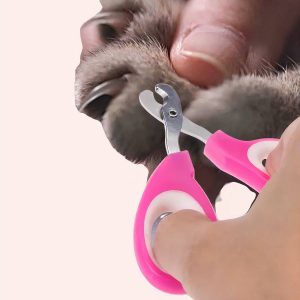 coupe griffe chat