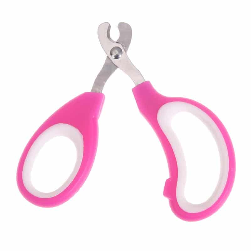 manicure chat PP