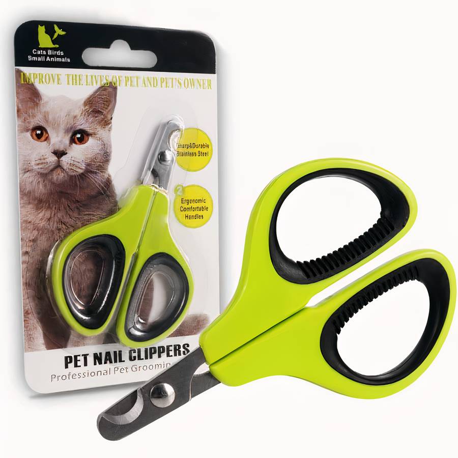 outil toilettage chat acier inox