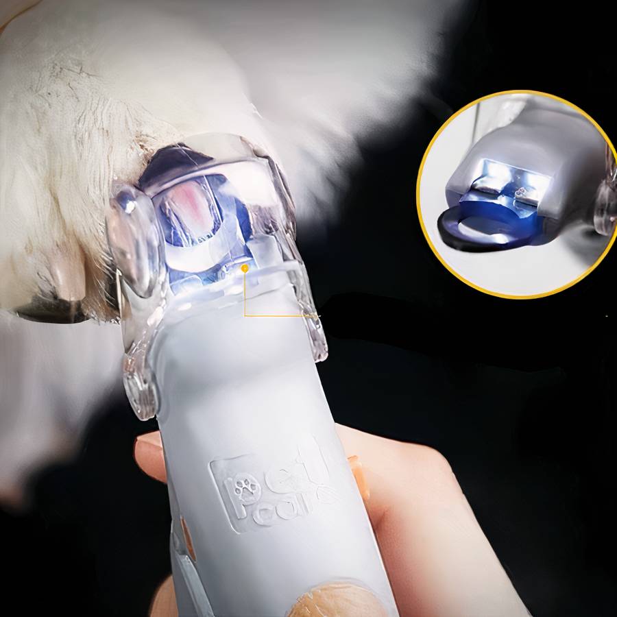 accessoire de soin pour chat