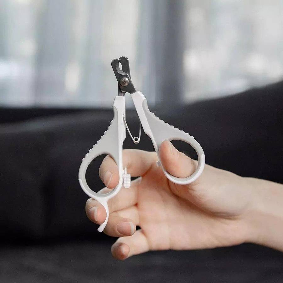 outil de soins pour animaux