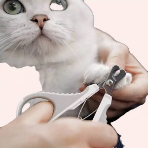 coupe griffe pour animaux