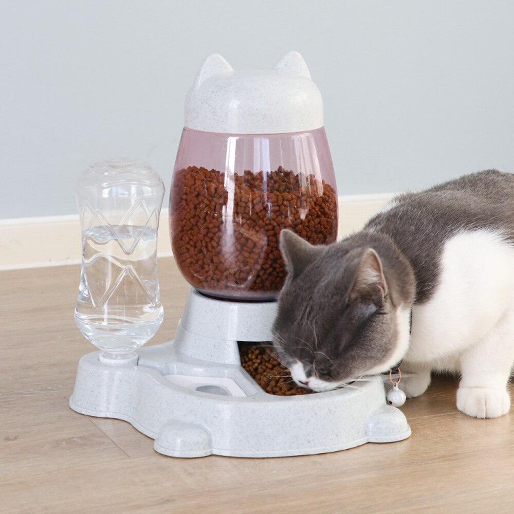 distributeur pratique chat