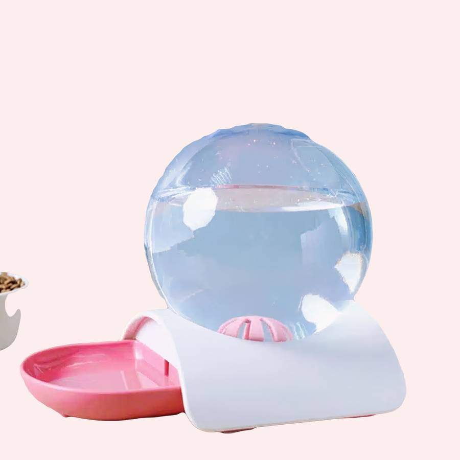 distributeur d’eau automatique