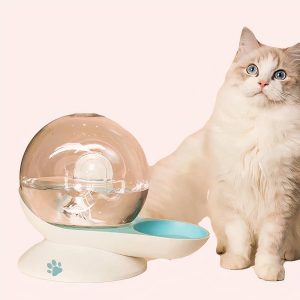 distributeur d’eau escargot pour chat