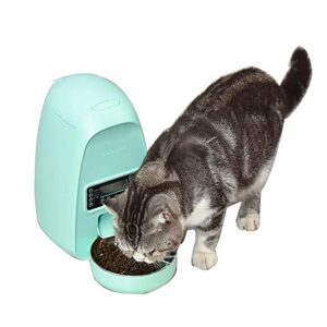 distributeur de croquette avec bol