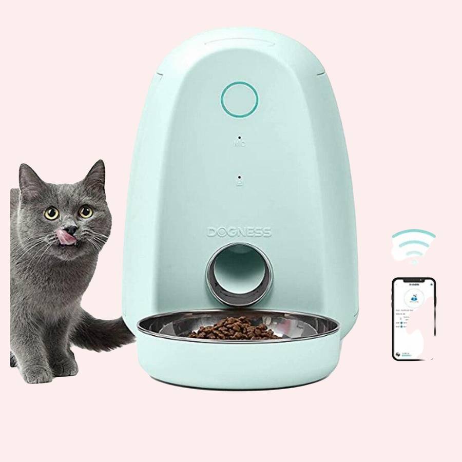 distributeur de croquette avec télécommande