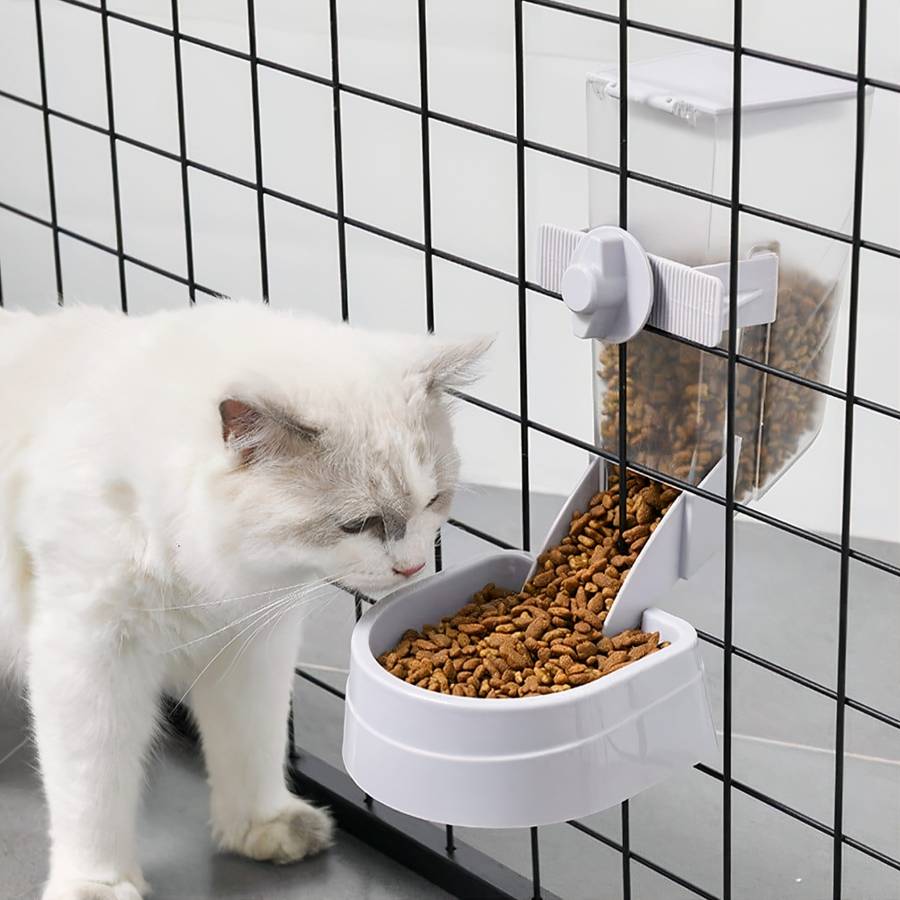 accessoire de nourriture pour chat