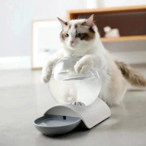 distributeur d'eau pour chat