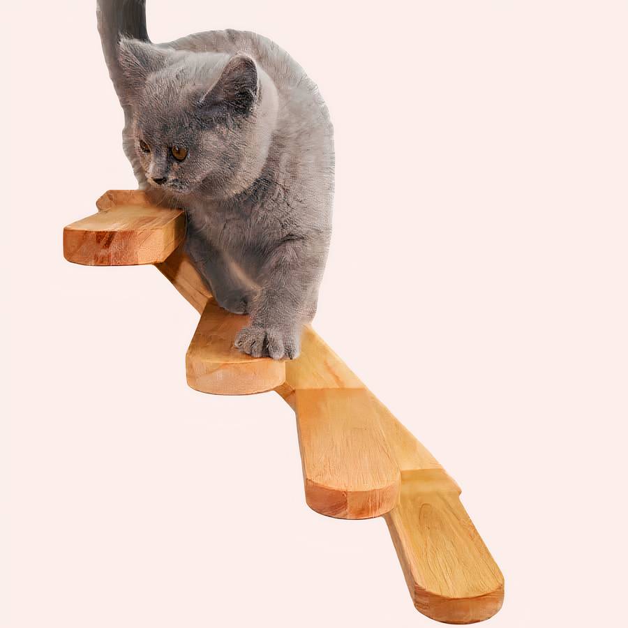 echelle pour chat en bois