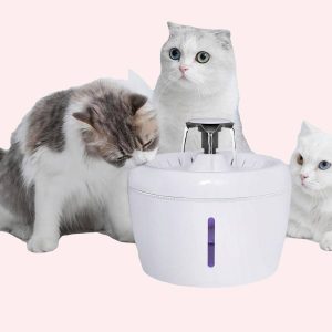 fontaine à eau automatique pour chat
