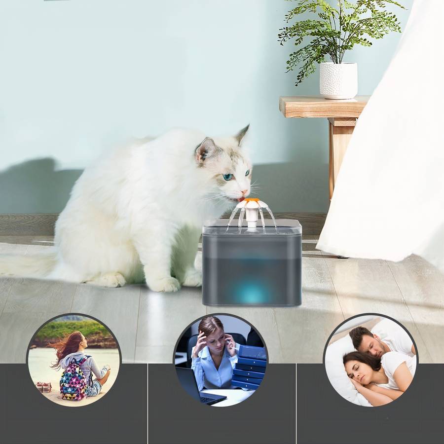 distributeur eau chat LED