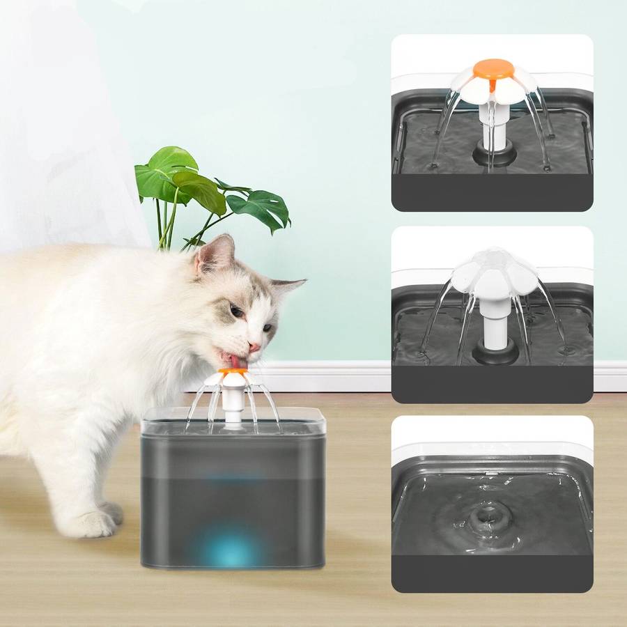 fontaine chat LED