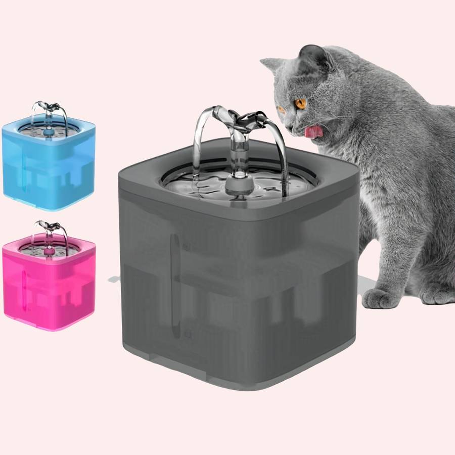 fontaine à eau pour chat