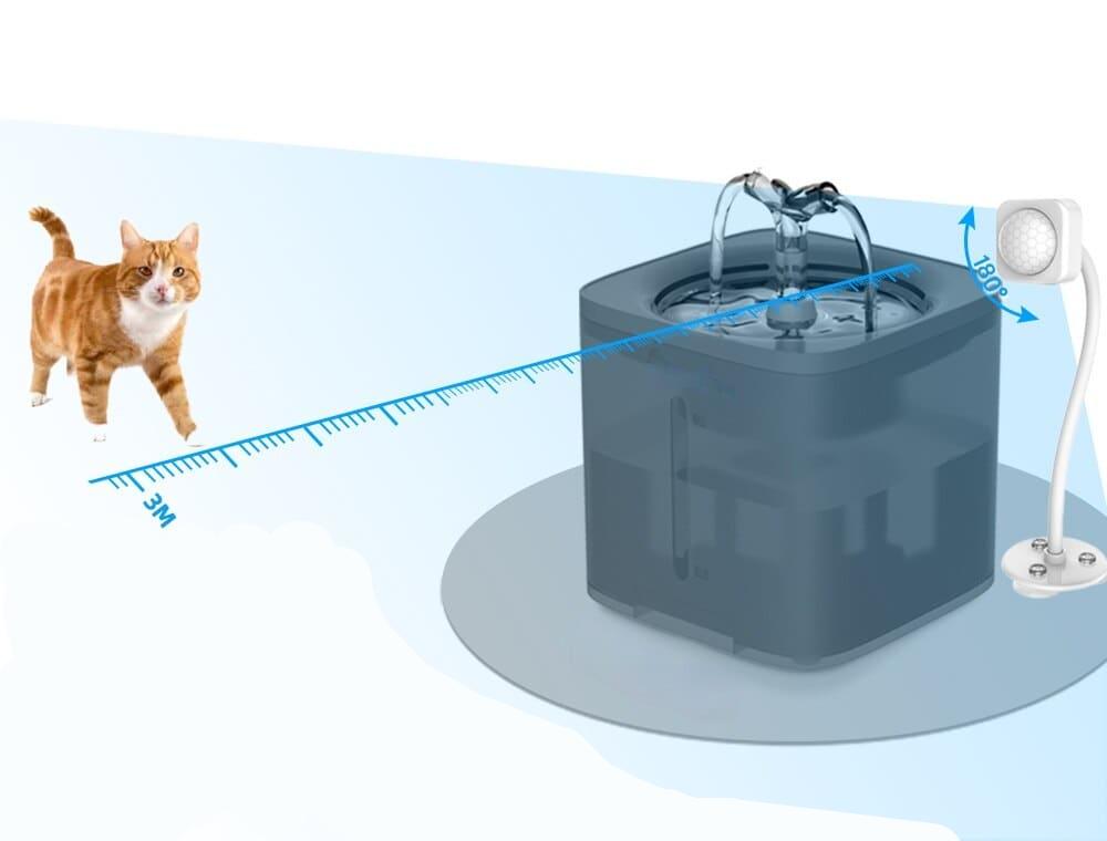 hydratation des chats