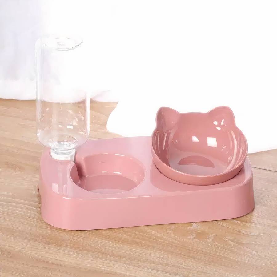 eau fraîche pour chat