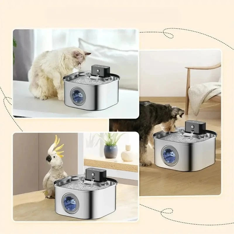 design moderne sans câble pour chat