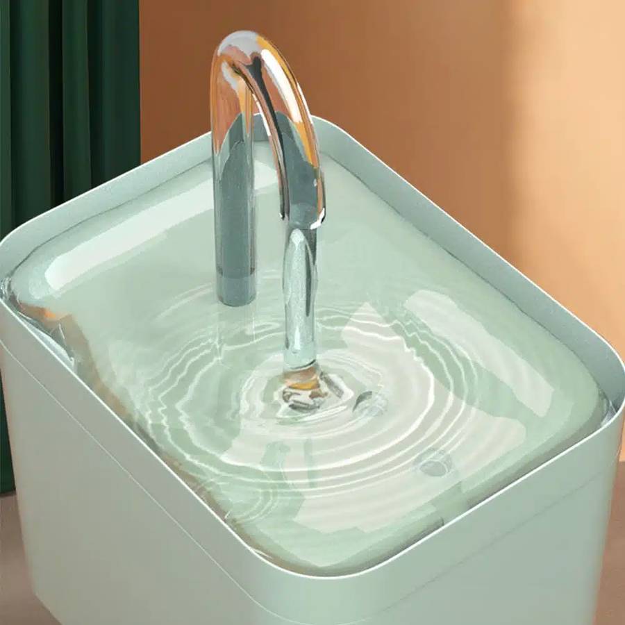 fontaine eau chat design