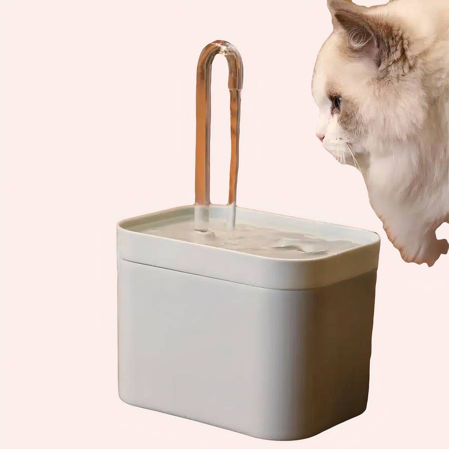 fontaine chat silencieuse
