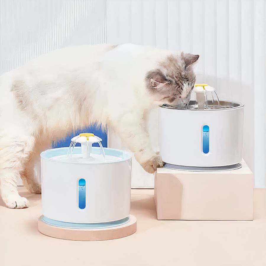 distributeur d'eau pour chat