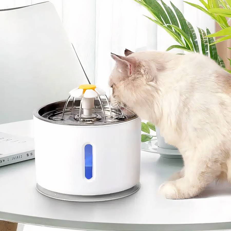 fontaine LED pour chat