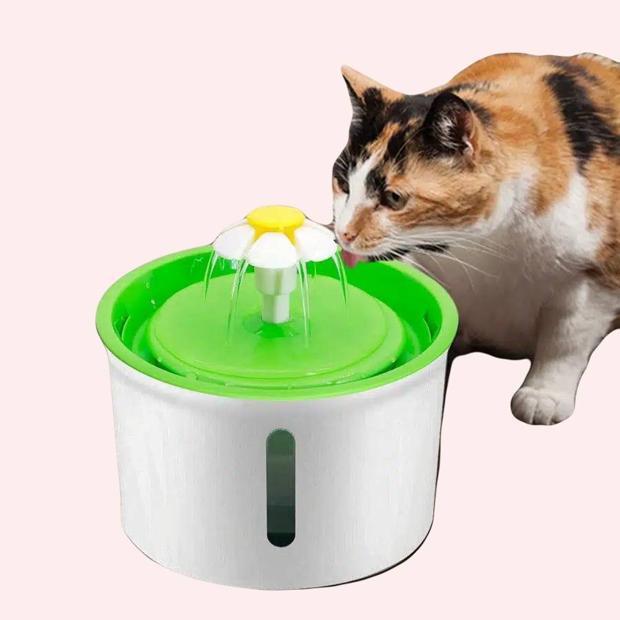 fontaine à eau pour chat