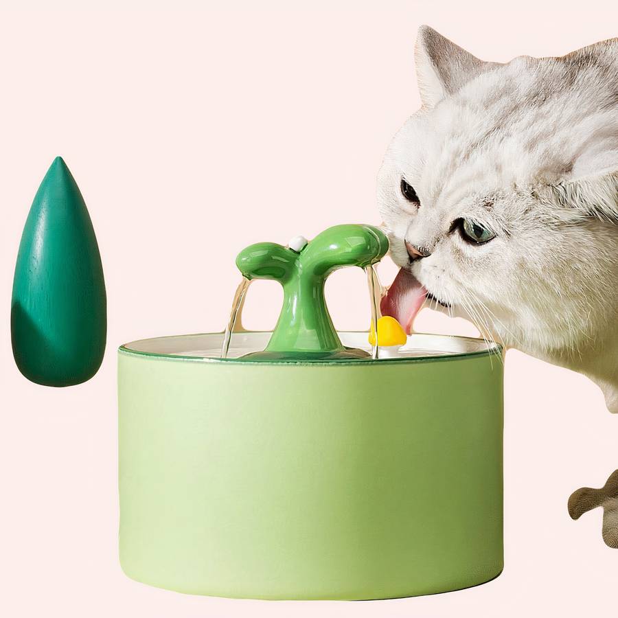 fontaine électrique pour chat intelligent