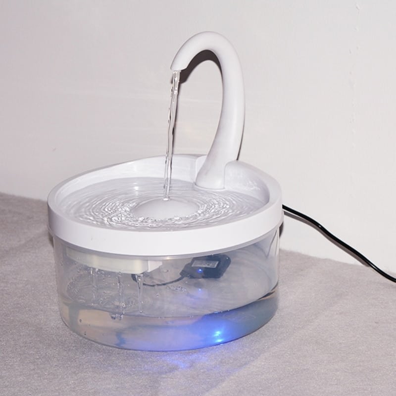 eau fraîche pour chat