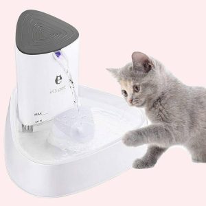 fontaine à eau pour chat